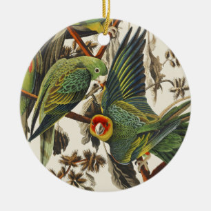 Vintage Audubon Carolina Parakeet Bird Art Ceramic Tree Decoration