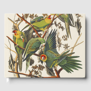Vintage Audubon Carolina Parakeet Bird Art Guest Book