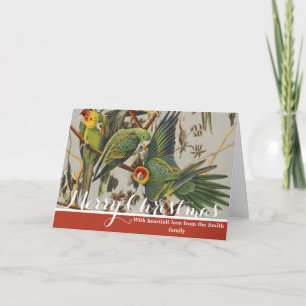 Vintage Audubon Carolina Parakeet Bird Art Holiday Card