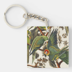 Vintage Audubon Carolina Parakeet Bird Art Key Ring