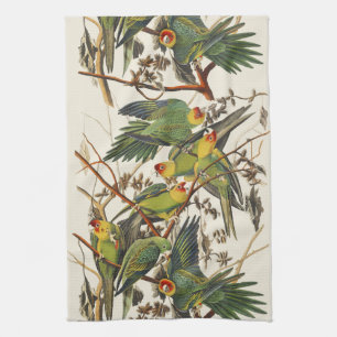 Vintage Audubon Carolina Parakeet Bird Art Tea Towel