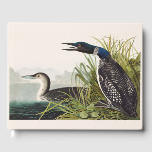 Vintage Audubon Common Loon Bird Nature Art Guest Book