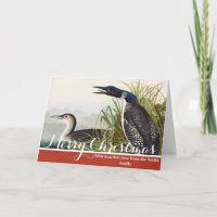 Vintage Audubon Common Loon Bird Nature Art