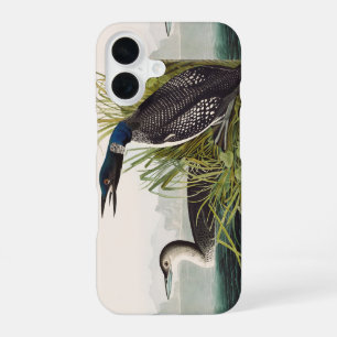 Vintage Audubon Common Loon Bird Nature Art iPhone 16 Case