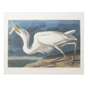 Vintage Audubon Great White Heron Bird Art Notepad