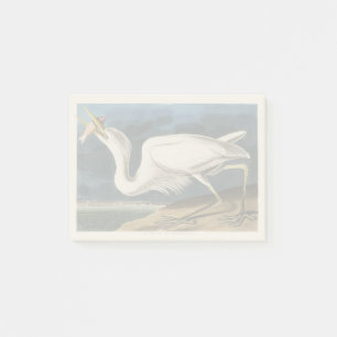 Vintage Audubon Great White Heron Bird Art Post-it Notes