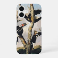 Vintage Audubon Ivory Billed Woodpecker Art