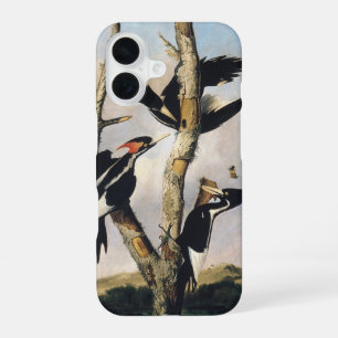 Vintage Audubon Ivory Billed Woodpecker Art iPhone 16 Case