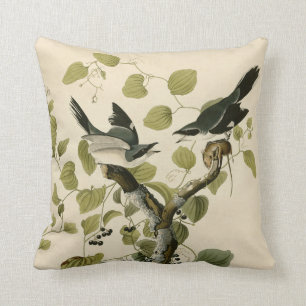 Vintage Audubon Loggerhead Shrike Painting Gift Cushion