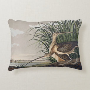 Vintage Audubon Long-billed Curlew Bird Art Decorative Cushion