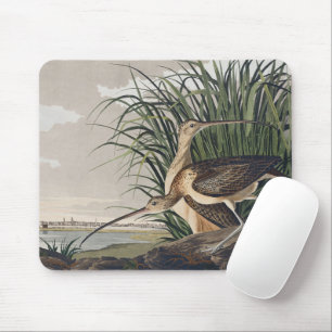 Vintage Audubon Long-billed Curlew Bird Art Mouse Mat