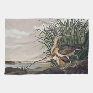 Vintage Audubon Long-billed Curlew Bird Art Tea Towel