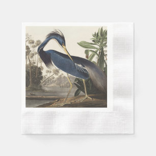 Vintage Audubon Louisiana Heron Bird Art Napkin