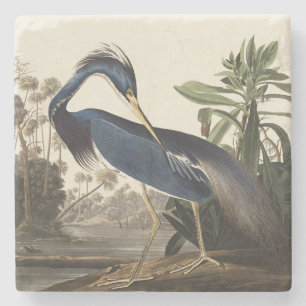 Vintage Audubon Louisiana Heron Bird Art Stone Coaster