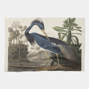 Vintage Audubon Louisiana Heron Bird Art Tea Towel