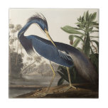 Vintage Audubon Louisiana Heron Bird Art Tile<br><div class="desc">This stunning illustration, Louisiana Heron (now known as the Tricolored Heron), is Plate 217 from John James Audubon’s monumental 19th-century masterpiece, The Birds of America. Audubon, the father of American ornithology, masterfully depicts the heron’s elegant, curving silhouette against a lush, tropical marshland background filled with palm trees. The vibrant deep...</div>