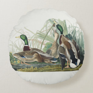 Vintage Audubon Mallard Duck Wildlife Art Round Cushion