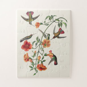 Vintage Audubon Mango Hummingbirds Flowers Jigsaw Puzzle