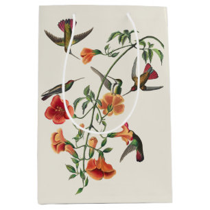 Vintage Audubon Mango Hummingbirds Flowers Medium Gift Bag