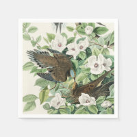 Vintage Audubon Mourning Dove Bird Flower Art