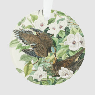 Vintage Audubon Mourning Dove Bird Flower Art Ornament