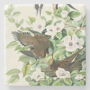 Vintage Audubon Mourning Dove Bird Flower Art Stone Coaster