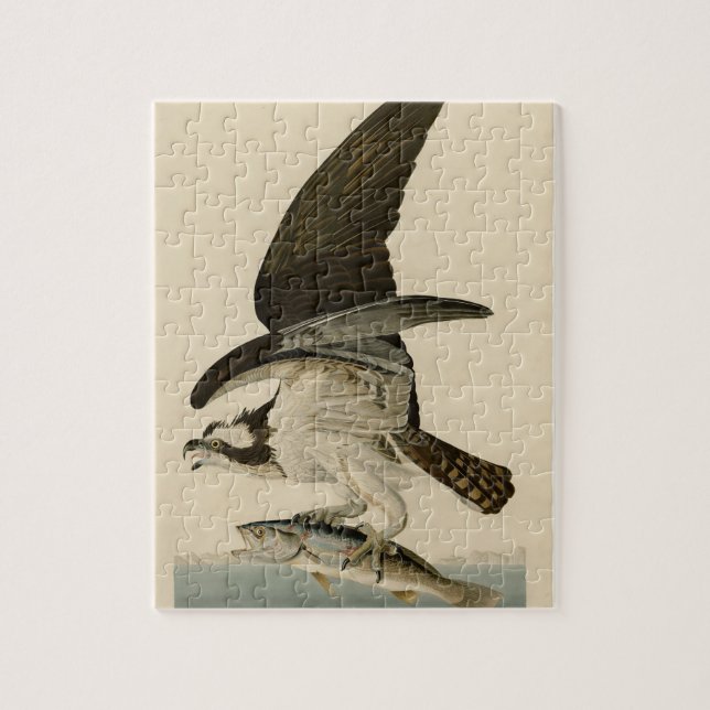Vintage Audubon Osprey Bird Painting Gift Jigsaw Puzzle (Vertical)