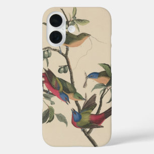 Vintage Audubon Painted Bunting Colourful Bird Art iPhone 16 Case