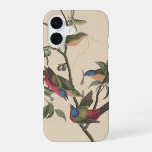 Vintage Audubon Painted Bunting Colourful Bird Art iPhone 16 Case