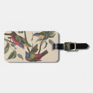 Vintage Audubon Painted Bunting Colourful Bird Art Luggage Tag