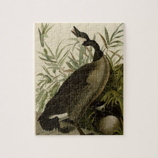 Vintage Audubon Painting Canada Goose Jigsaw Puzzle