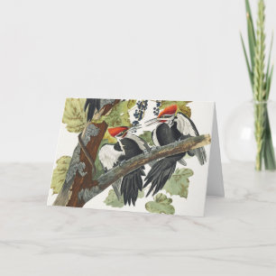Vintage Audubon Pileated Woodpecker Bird Art Holiday Card