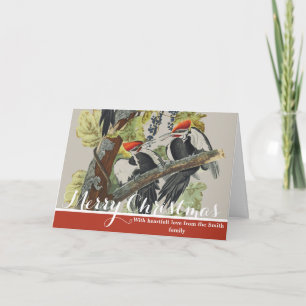 Vintage Audubon Pileated Woodpecker Bird Art Holiday Card