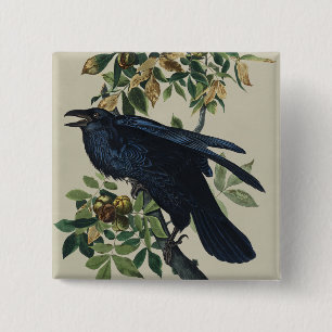 Vintage Audubon Raven Bird Nature Art 15 Cm Square Badge