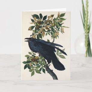 Vintage Audubon Raven Bird Nature Art Holiday Card
