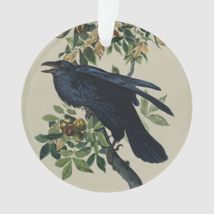 Vintage Audubon Raven Bird Nature Art Ornament