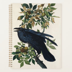 Vintage Audubon Raven Bird Nature Art Planner