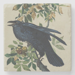 Vintage Audubon Raven Bird Nature Art Stone Coaster