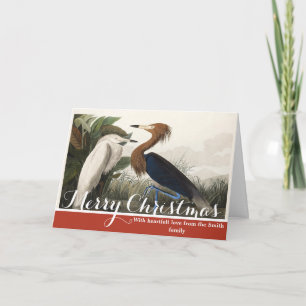 Vintage Audubon Reddish Egret Bird Art Holiday Card