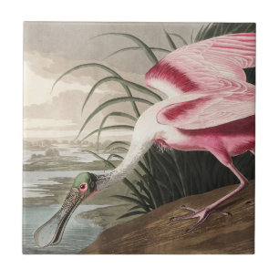 Vintage Audubon Roseate Spoonbill Bird Art Tile