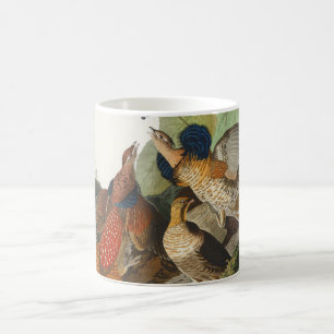 Vintage Audubon Ruffed Grouse Bird Nature Art Coffee Mug
