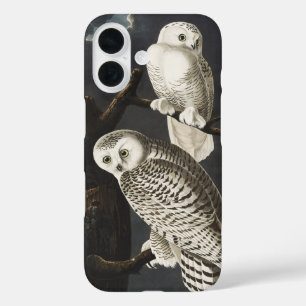 Vintage Audubon Snowy Owl Night Bird Art iPhone 16 Case