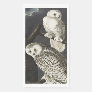 Vintage Audubon Snowy Owl Night Bird Art Napkin