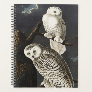 Vintage Audubon Snowy Owl Night Bird Art Planner
