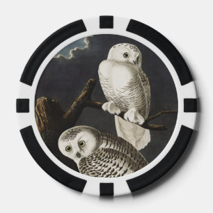Vintage Audubon Snowy Owl Night Bird Art Poker Chips