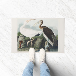 Vintage Audubon White Ibis Bird Nature Art Doormat