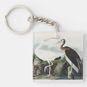 Vintage Audubon White Ibis Bird Nature Art Key Ring