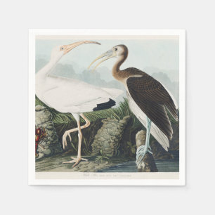 Vintage Audubon White Ibis Bird Nature Art Napkin