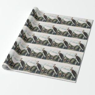 Vintage Audubon White Ibis Bird Nature Art Wrapping Paper