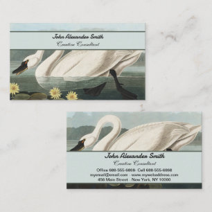 Vintage Audubon White Swan Water Lily Art Business Card